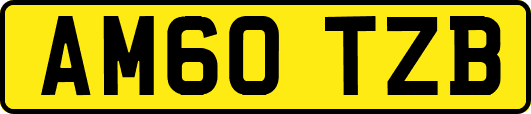 AM60TZB