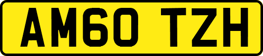 AM60TZH