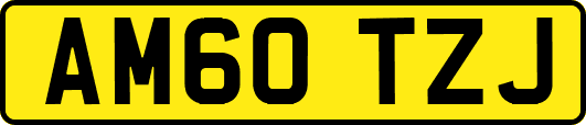 AM60TZJ