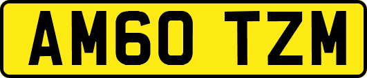 AM60TZM
