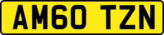 AM60TZN