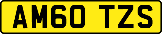 AM60TZS