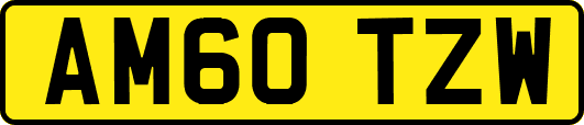 AM60TZW