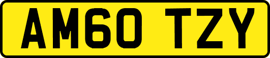 AM60TZY
