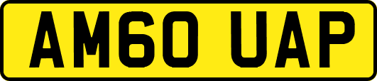 AM60UAP