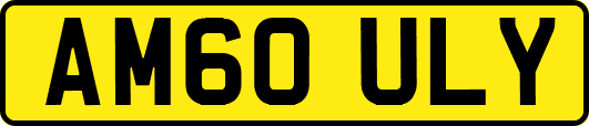 AM60ULY
