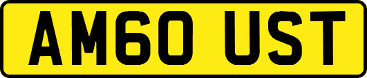 AM60UST