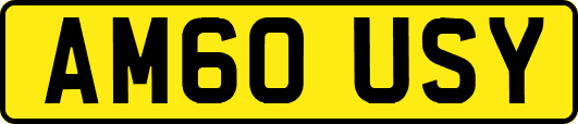 AM60USY