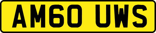 AM60UWS