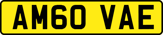 AM60VAE