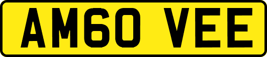 AM60VEE