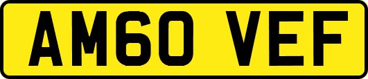 AM60VEF