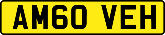 AM60VEH