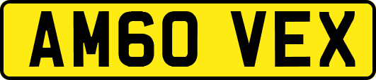 AM60VEX