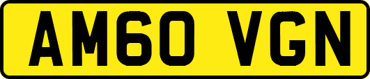 AM60VGN