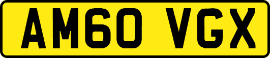 AM60VGX