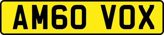 AM60VOX