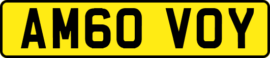 AM60VOY