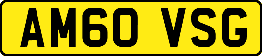 AM60VSG