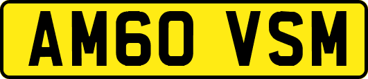 AM60VSM