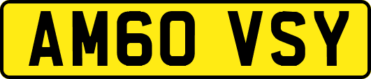 AM60VSY
