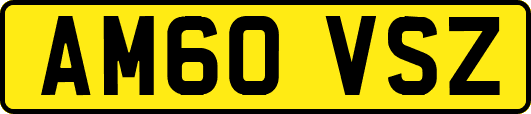 AM60VSZ