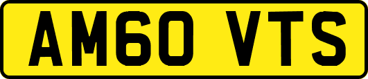 AM60VTS