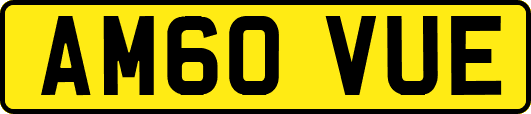 AM60VUE