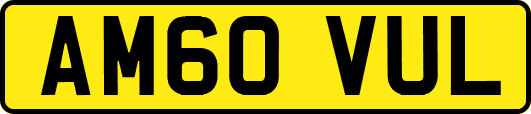 AM60VUL