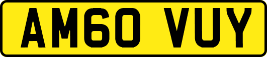 AM60VUY