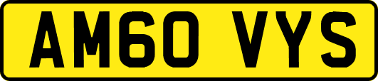 AM60VYS
