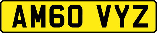 AM60VYZ
