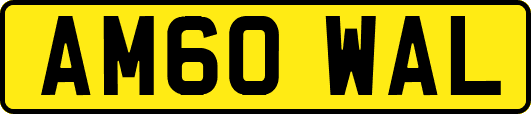 AM60WAL