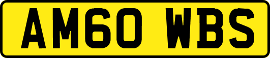 AM60WBS