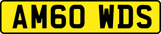 AM60WDS
