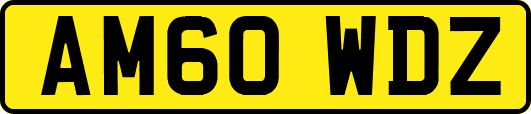 AM60WDZ