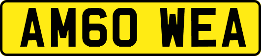 AM60WEA