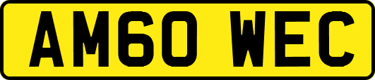 AM60WEC