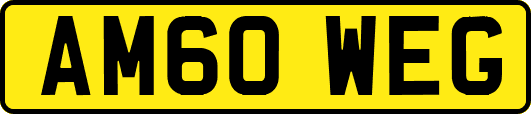 AM60WEG