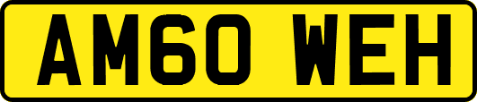 AM60WEH
