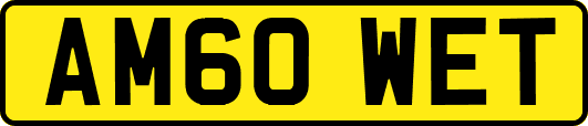 AM60WET