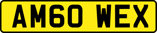 AM60WEX