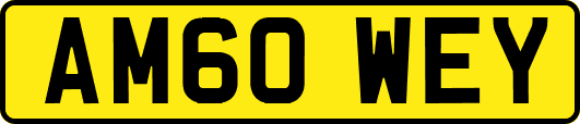 AM60WEY