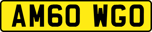 AM60WGO