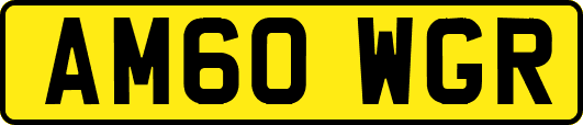 AM60WGR