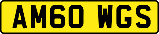 AM60WGS