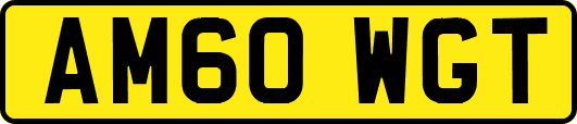 AM60WGT