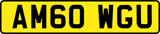 AM60WGU