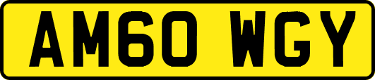 AM60WGY