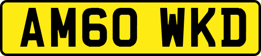 AM60WKD